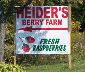 Fresh Pick your own berry farm in IL