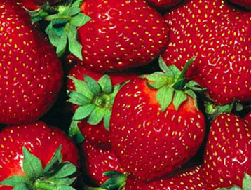 strawberries