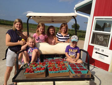 family picking strawberries raspberries shopping